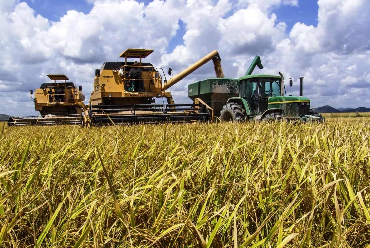 guine-equatorial-condiciona-expansao-agro-industrial-a-estudos-de-viabilidade