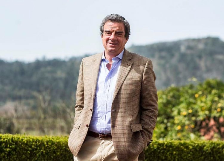 Manuel Guedes, Administrador Grape IdeasManuel Guedes, Administrador Grape Ideas