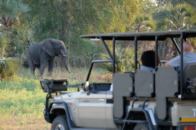 gorongosa-recebe-premio-internacional-por-lideranca-na-conservacao-da-biodiversidade