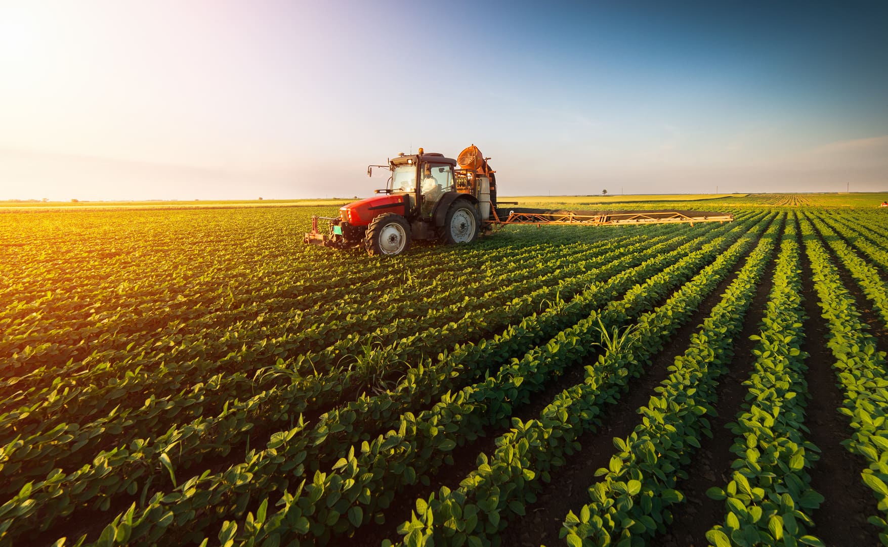 mocambique-mobiliza-24-milhoes-de-euros-para-financiar-projectos-do-agronegocio