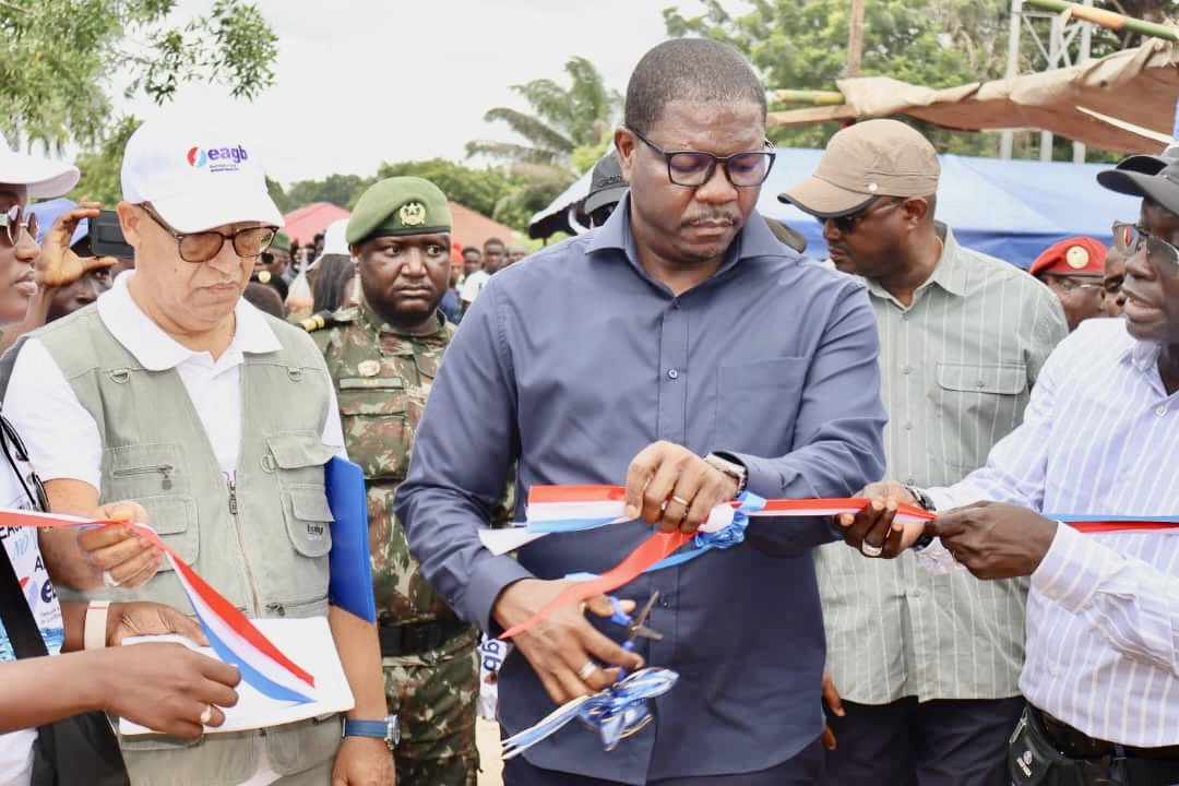 guine-bissau-investe-30-milhoes-de-euros-em-estradas-e-amplia-acesso-a-electricidade-no-sul
